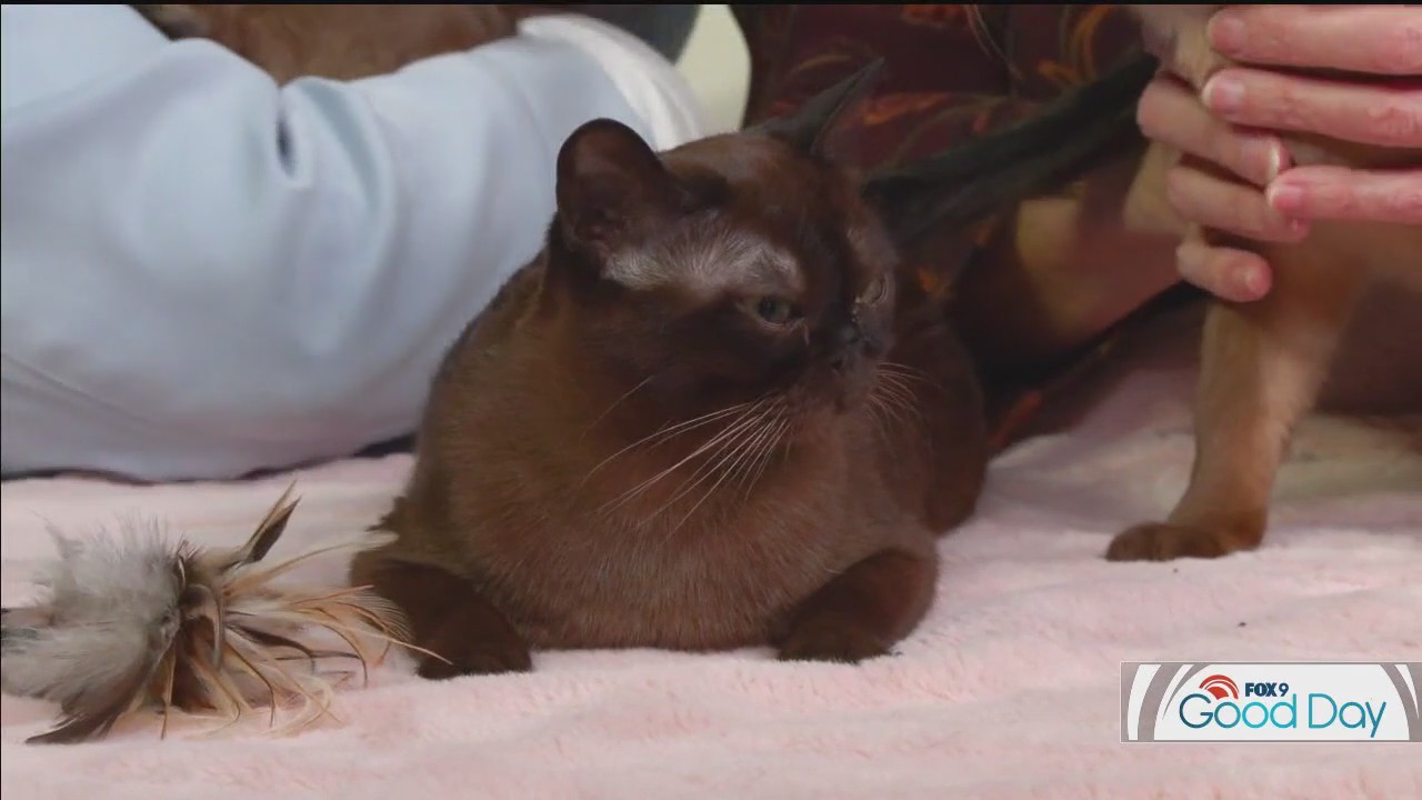 FOX 9 Good Day: Jan. 24, 2025