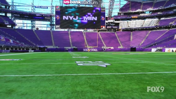 Minnesota Vikings: Showtime!: Doc 9