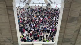 50 states, 50 protests demonstration held at Minnesota State Capitol [RAW]
