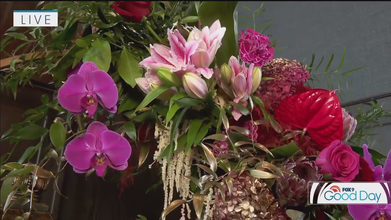 FOX 9 Good Day: Jan. 11, 2025