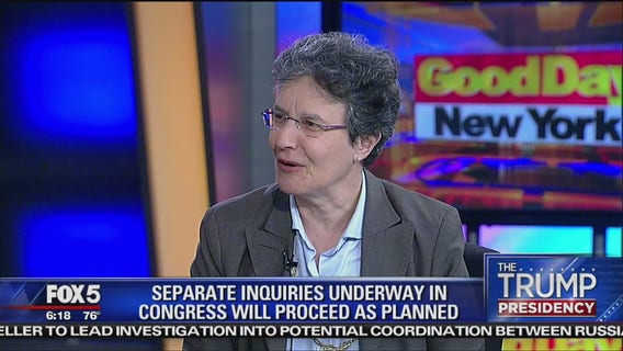 What is a Special Counsel?