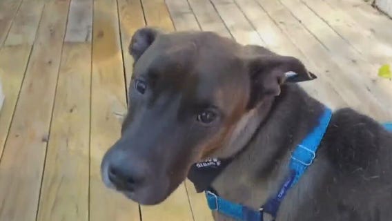 Meet Mindy and Marla at APA!