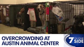 Overcrowding at Austin Animal Center