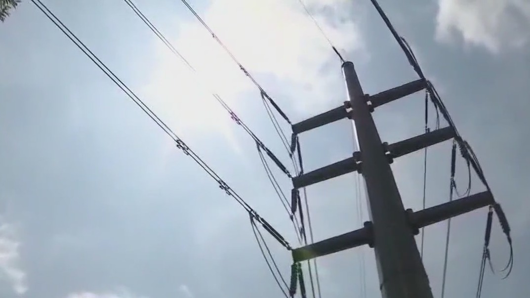 Independent study of Austin power lines