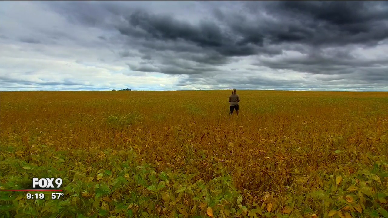 The Last Harvest: The Perfect Storm