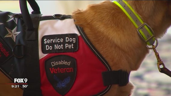 Minnesota dog trainer serves those with invisible wounds of war