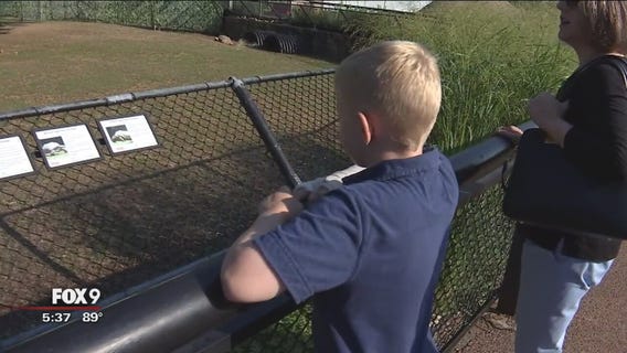 Como Zoo's special extended hours help children with autism