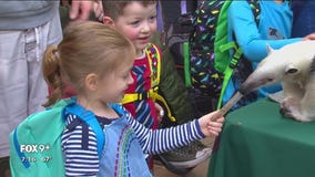MSP Airport was literally a zoo for the first day of MEA weekend