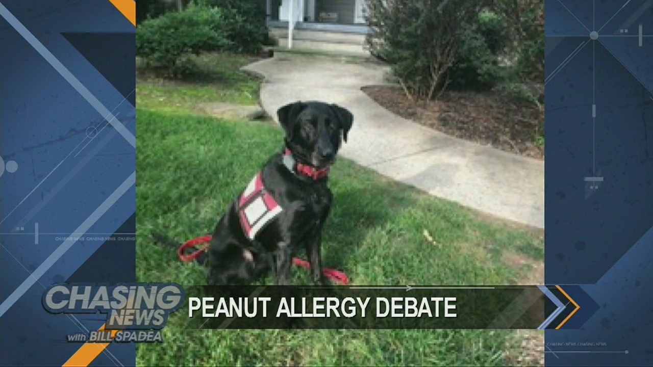 School sued over allergy service dog access