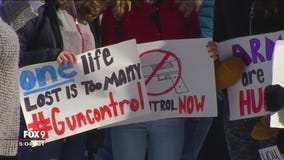 Mpls City Council shows support for stricter gun laws