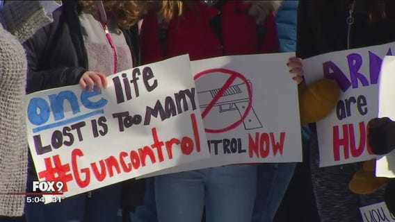 Mpls City Council shows support for stricter gun laws