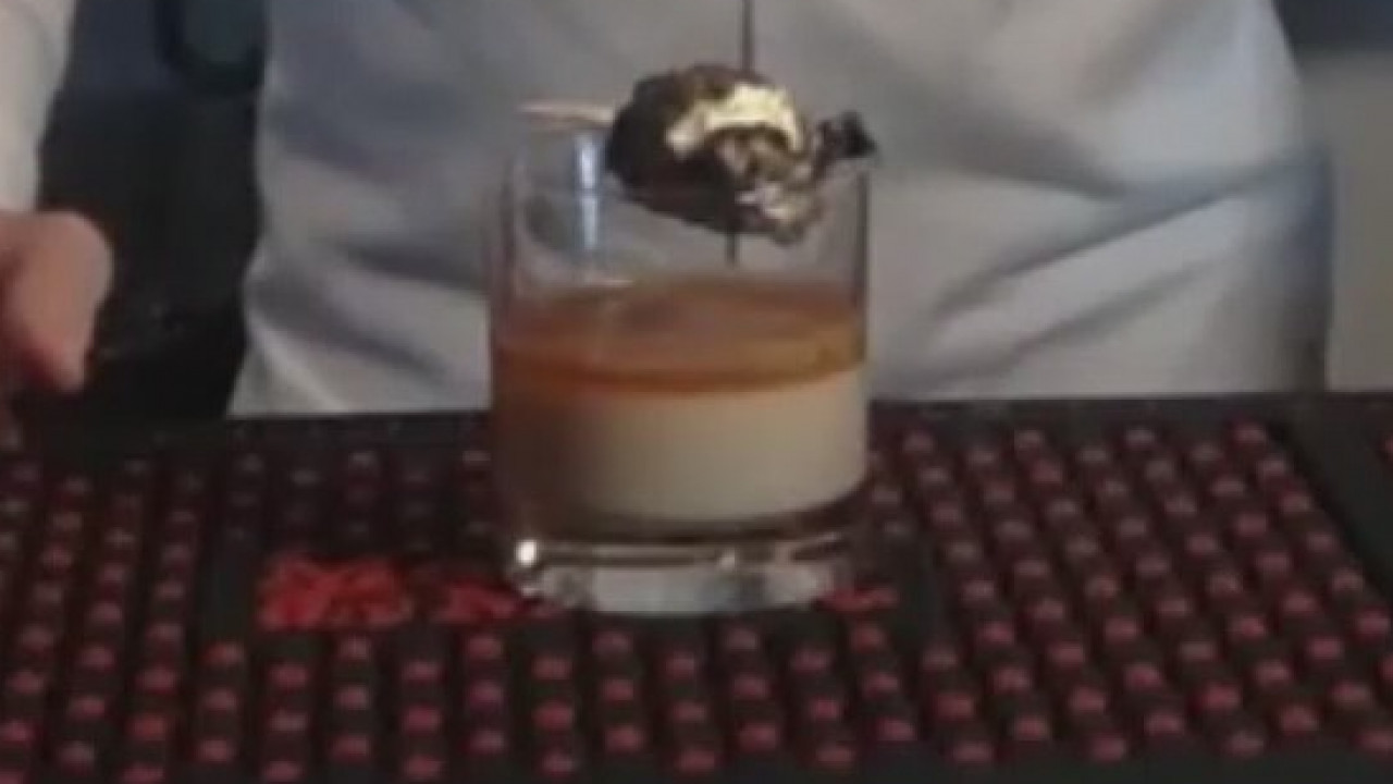 Good Day Cooks: Revelry on the Boulevard