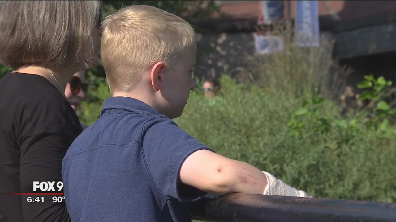 Como Zoo opens early for children with autism and other sensory disorders