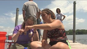 Researchers test new way of controlling zebra mussel population in Minnesota