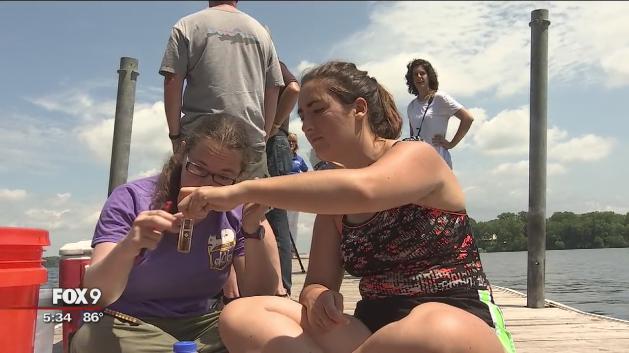 Researchers test new way of controlling zebra mussel population in Minnesota