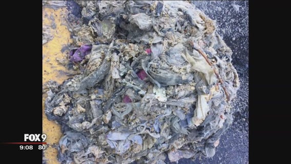Flushable wipes clog sewer in Hopkins