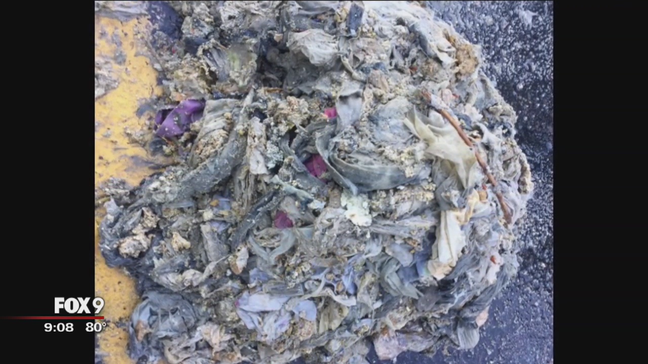 Flushable wipes clog sewer in Hopkins