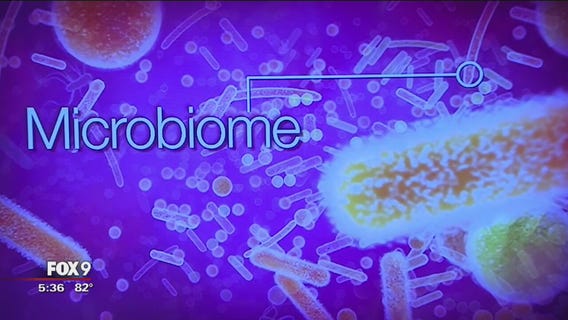 Mayo Clinic: gut bacteria may lead to multiple slerosis treatment