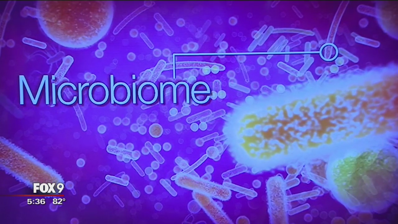 Mayo Clinic: gut bacteria may lead to multiple slerosis treatment