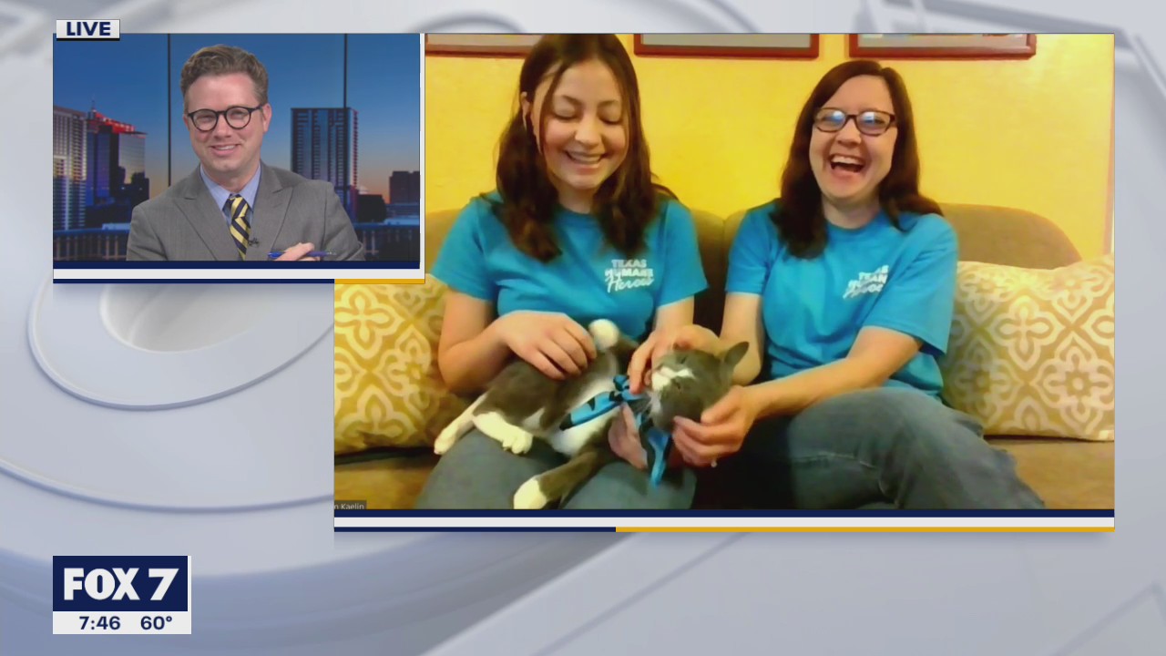 Pet of the Weekend: Prescott