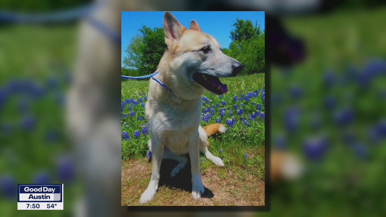 Pet of the Weekend: Chrissy