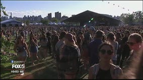 Music festival security