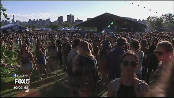 Music festival security