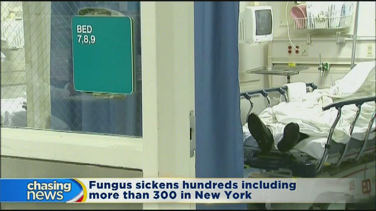 Killer fungus sickens hundreds across US