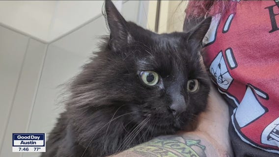 Pet of the Weekend: Rhyder