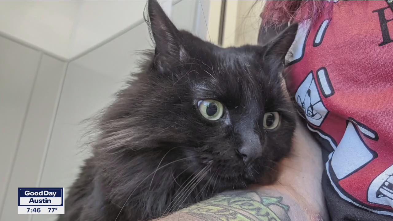 Pet of the Weekend: Rhyder