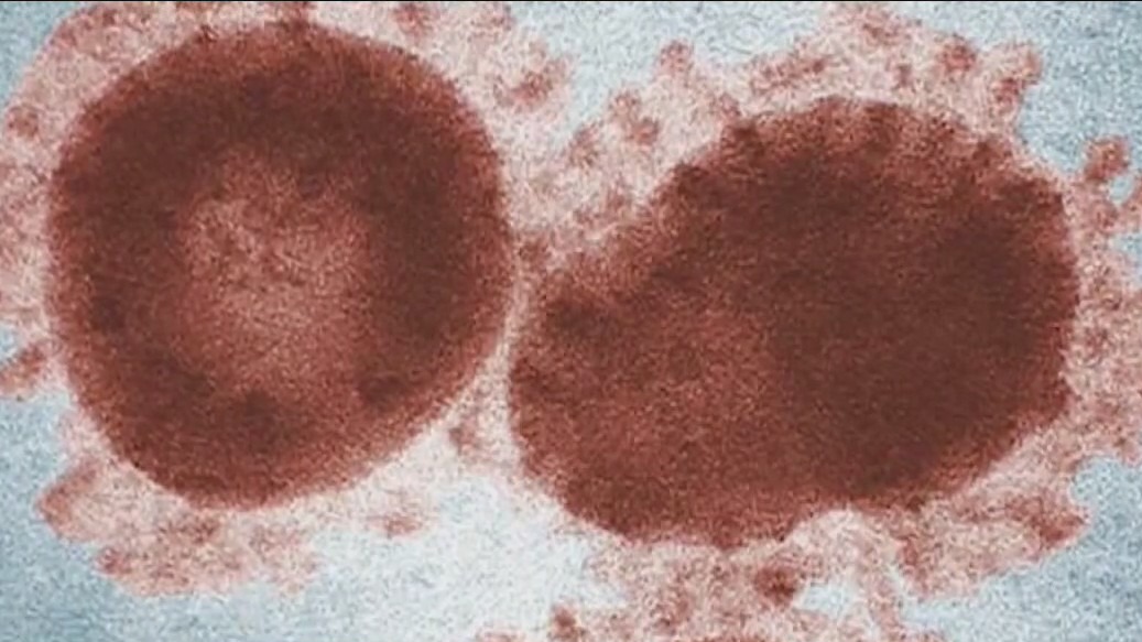 FOX 7 Discussion: UT Health Austin launches post-COVID-19 program