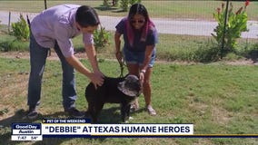 Pet of the Weekend: Debbie