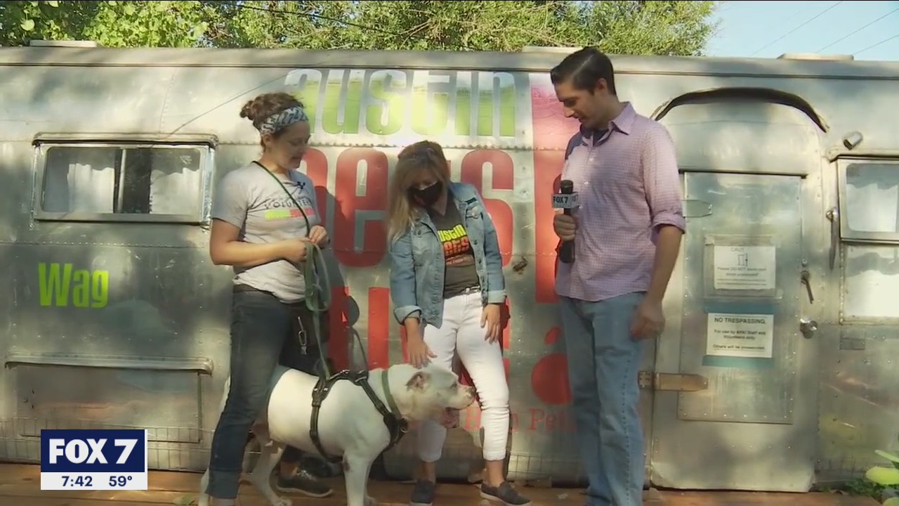 Pet of the Weekend: Big Tuna