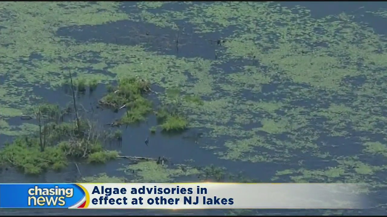 Swimming still not advised in Lake Hopatcong