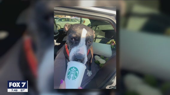 Pet of The Weekend: Kiki