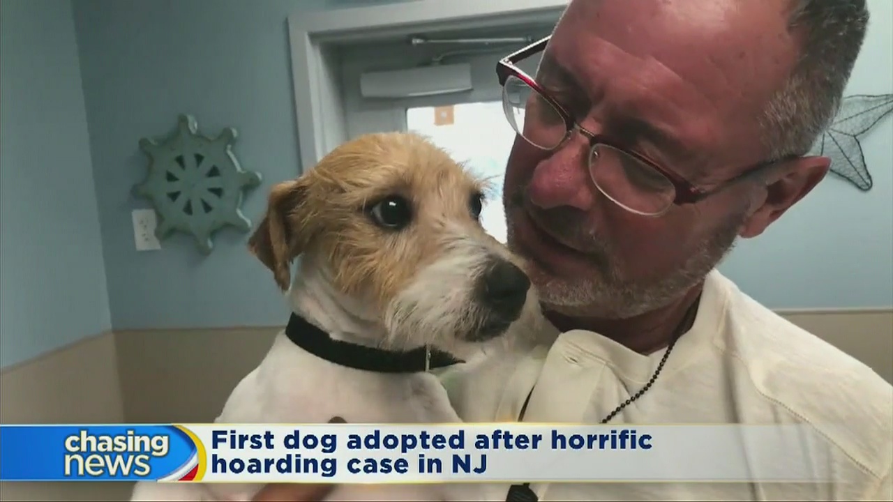 First dog from NJ's horrific hoarder case has a home