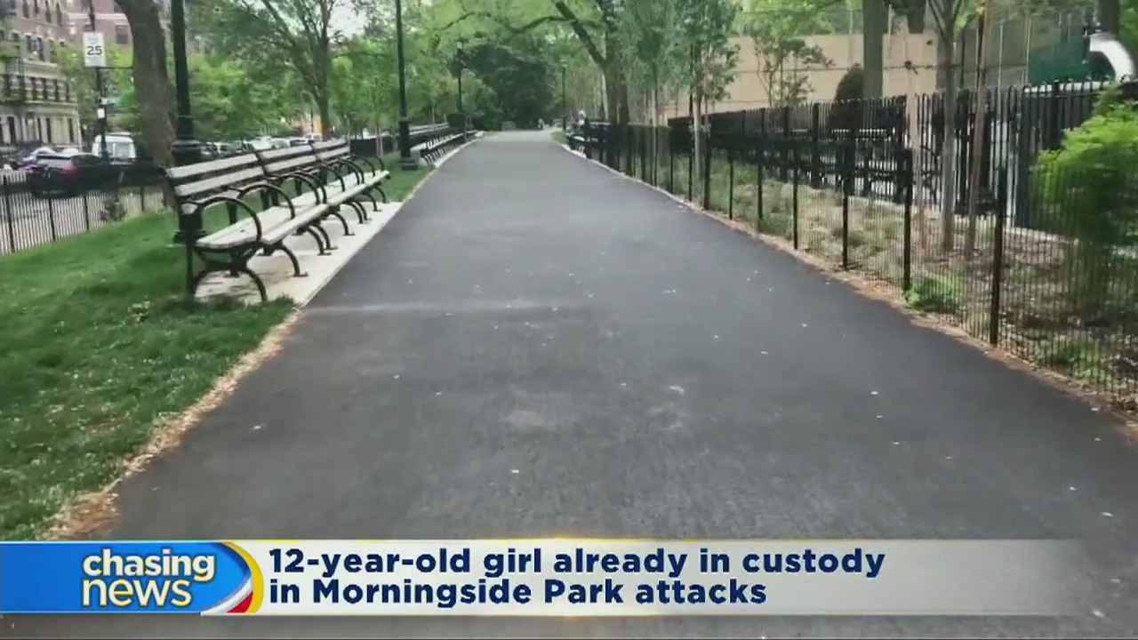 Two more girls arrested in park attacks