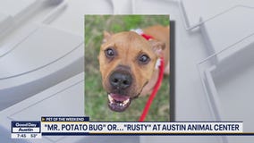 Pet of the Weekend: Rusty