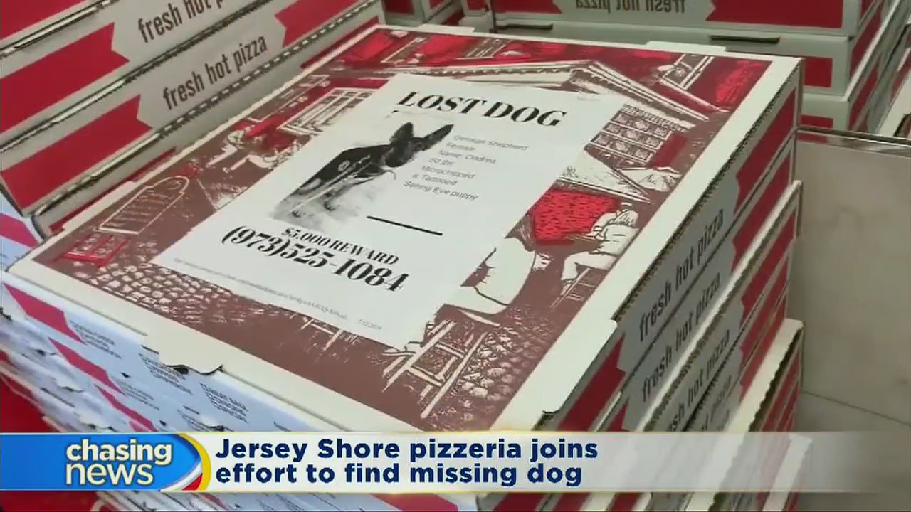 Pizzeria joins effort to find missing dog