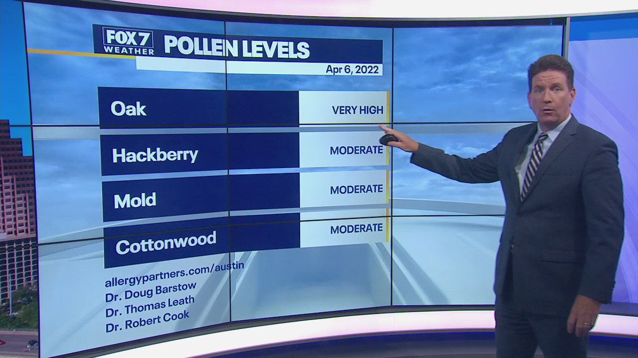 Strong winds bring huge spike of oak pollen to Austin