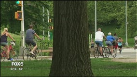 Central Park traffic safety