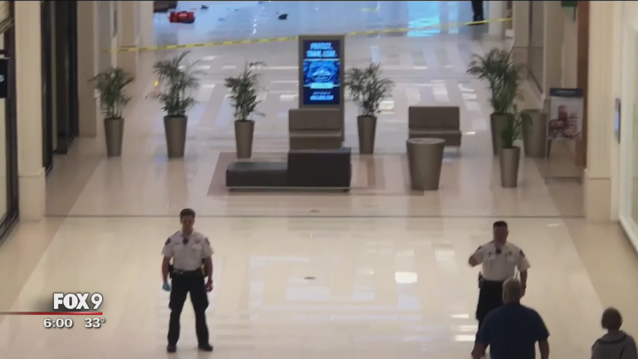 Man arrested after allegedly throwing child from third level at Mall of America