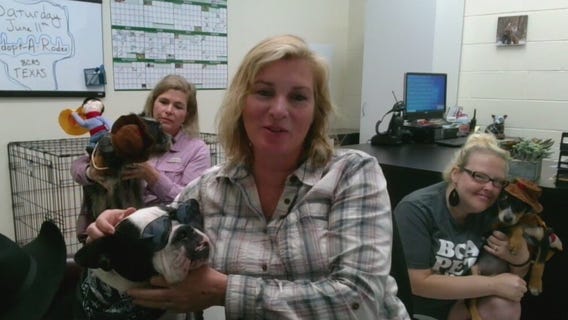 Bastrop County Animal Services hosts first annual Adopt-A-Rodeo