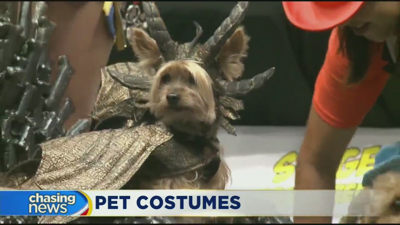 Americans expected to spend $490K on pet costumes