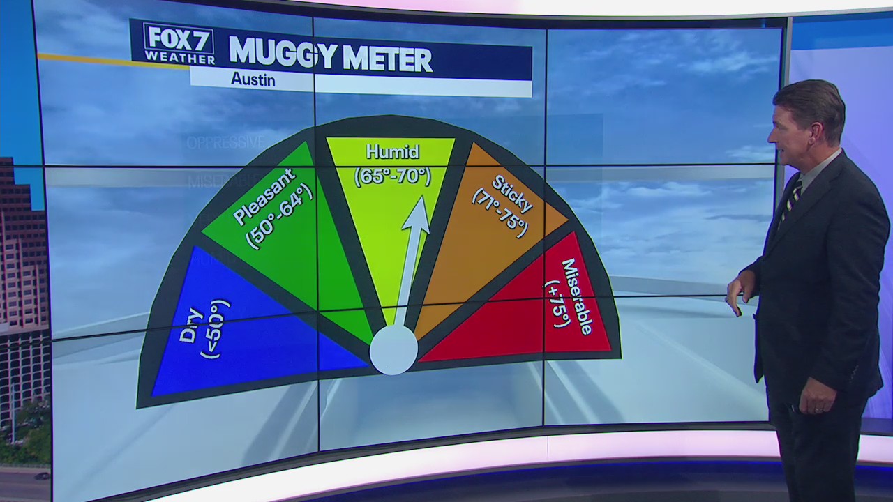 Steamy day with high temperatures and slight chance of rain