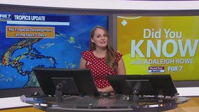 Did You Know?: Effect of Saharan dust on 2022 hurricane season