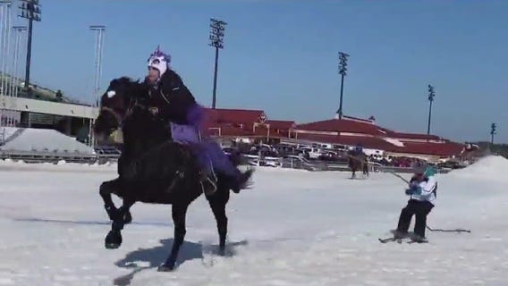 Skijoring and dog races at Canterbury Park
