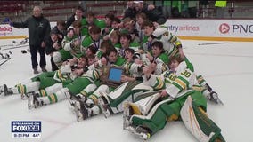Edina beats Wayzata 4-1 to advance to state hockey tournament