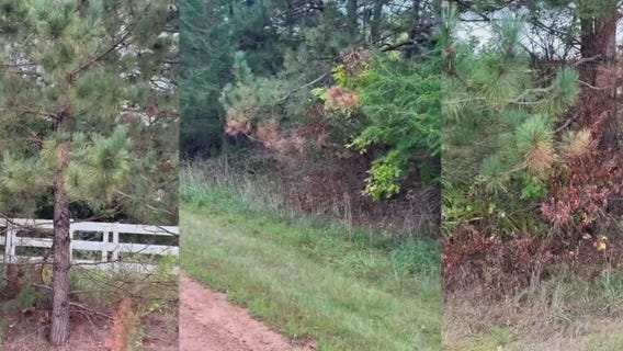 Scott County chemical spray worries residents