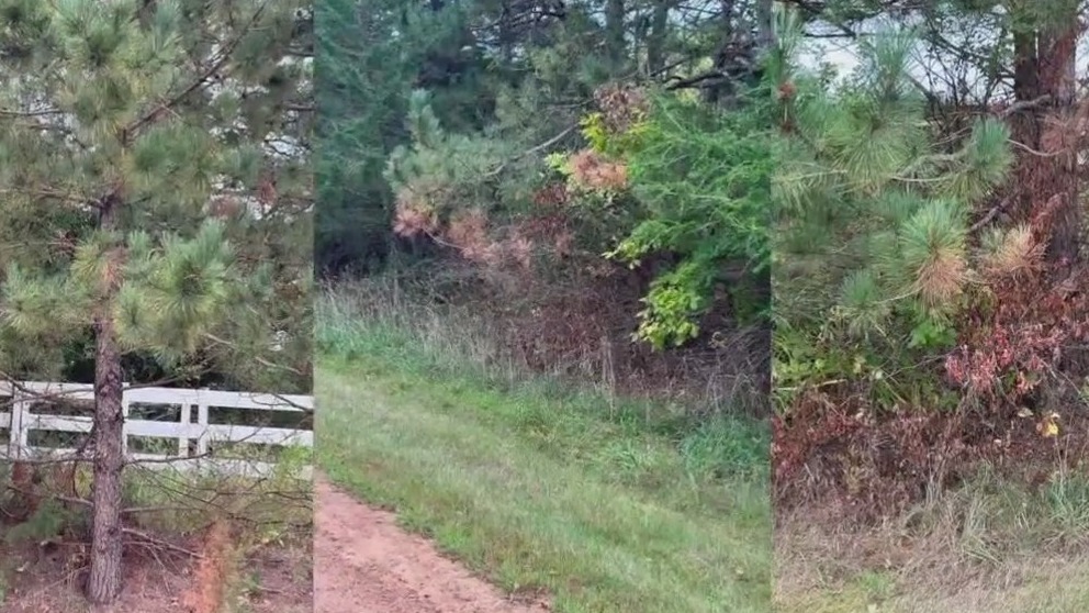 Scott County chemical spray worries residents